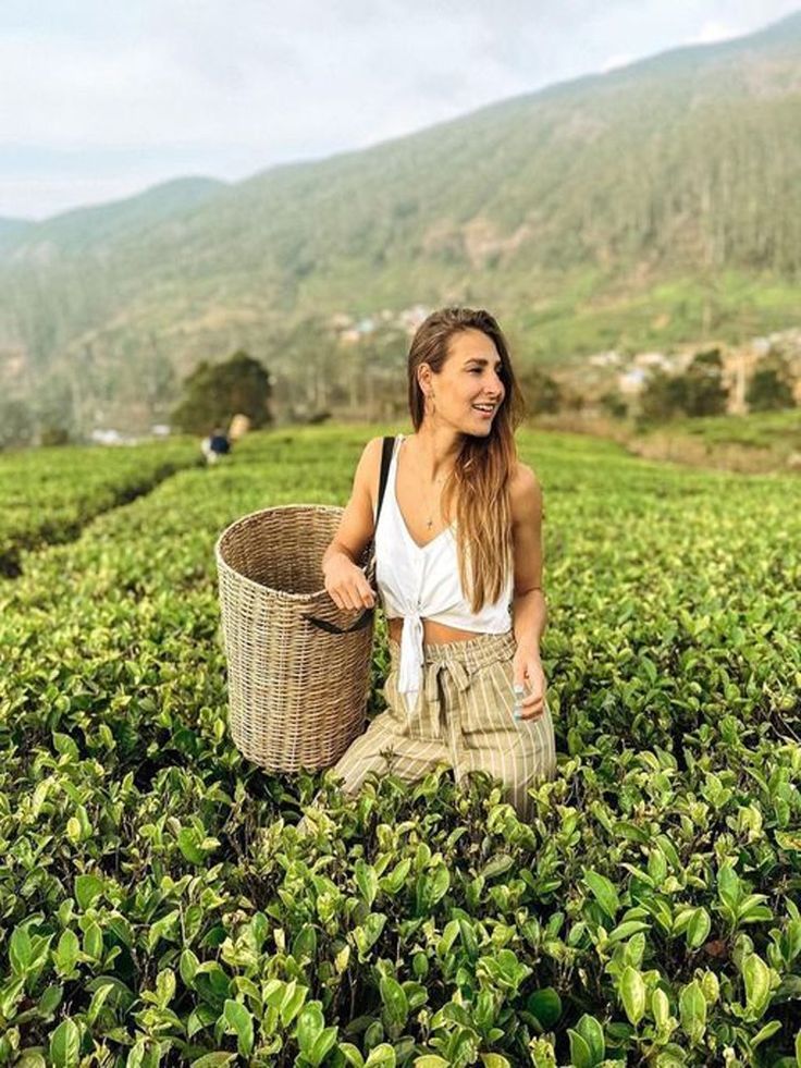 Nuwara Eliya Tea Plantation