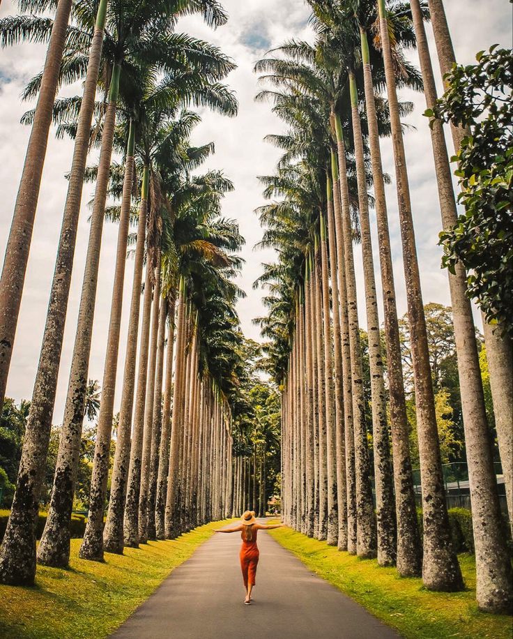 Peradeniya Royal Botanical Garden